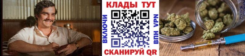 Сколько стоит Кувшиново Конопля  A-PVP  Гашиш  Метадон  Меф 