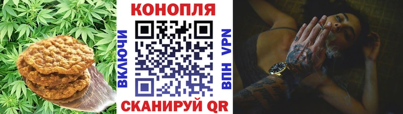 Печенье с ТГК конопля  где купить наркоту  Кувшиново 