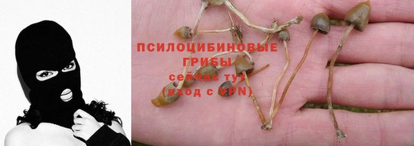 шишки Балабаново