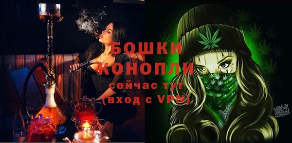 шишки Балабаново