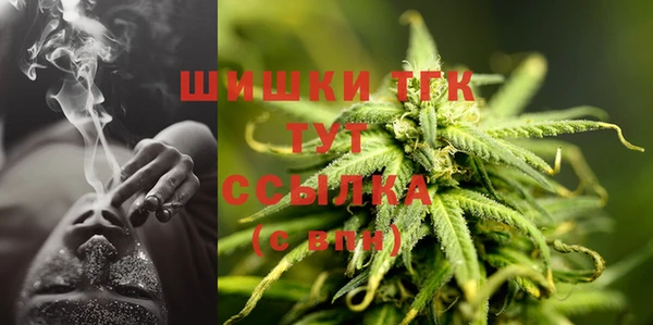 шишки Балабаново