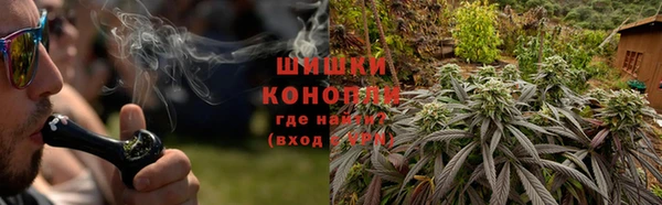 шишки Балабаново