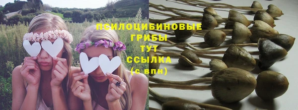 прущая мука Балахна