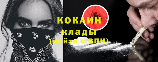 шишки Балабаново
