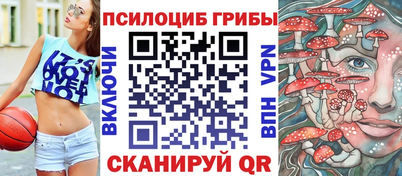 Псилоцибиновые грибы Psilocybine cubensis  купить наркоту  ОМГ ОМГ как войти  Кувшиново 
